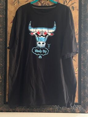 💛Chicago Bulls Windy City tee Hardwood Classics 2XL